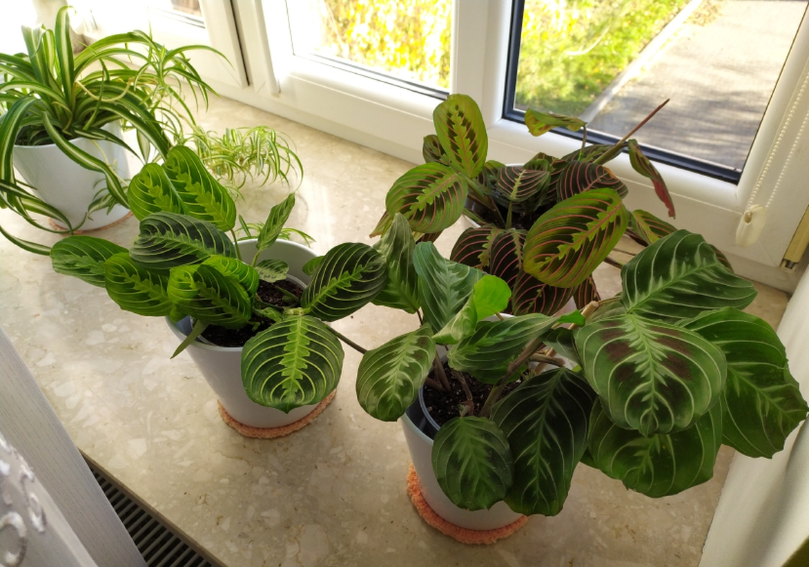 Kilka słów o mnie…